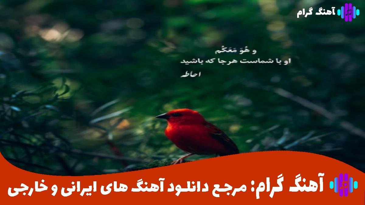 کاور آهنگ اﻳﻦ آﺧﺮﻳﻦ ﺑﺎری ﻛﻪ دارم ﻣﻴﺒﻴﻨﻢ ﺗﻮرو از حامیم