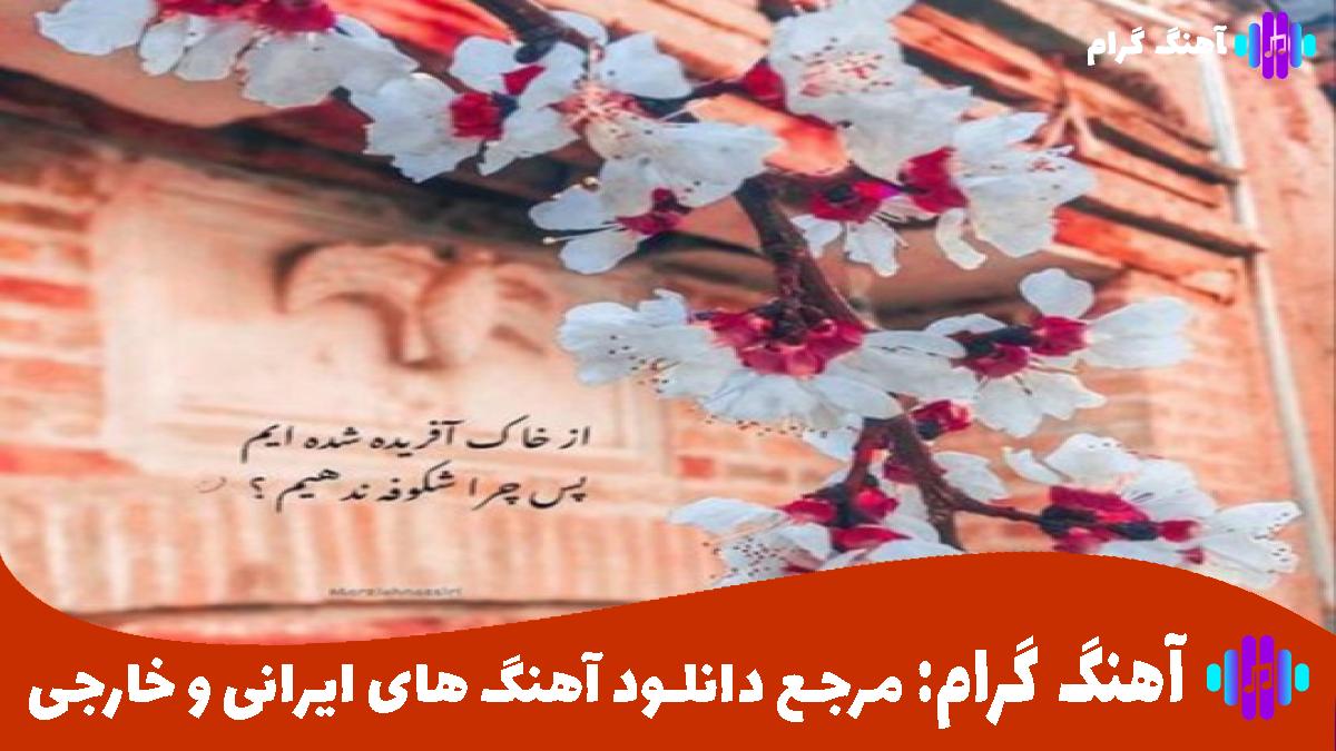 کاور آهنگ گل عشق از معین