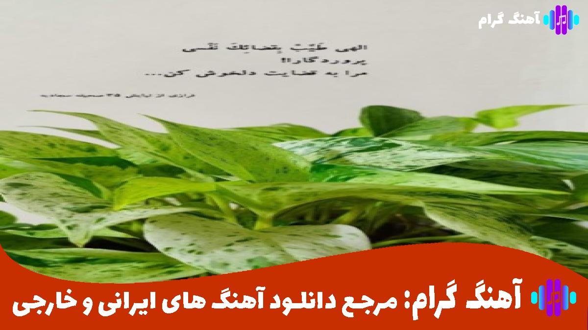 کاور آهنگ هایدی سویله از ابراهیم تاتلیس