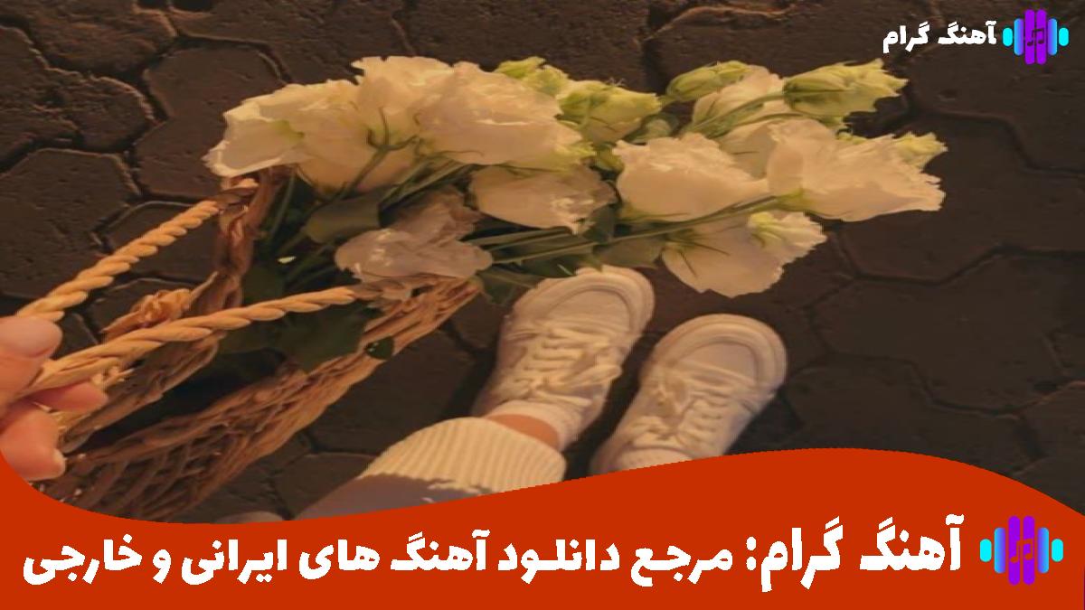 کاور آهنگ من دیوانه از رضا بهرام